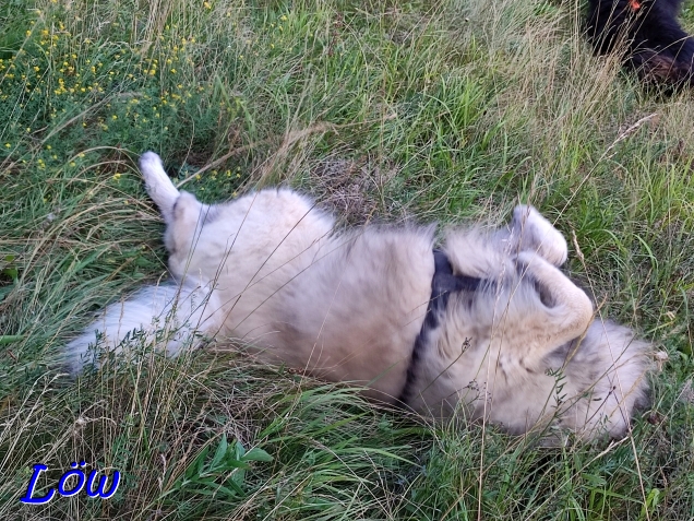 14.7.2024 - Dwix beim Heubad